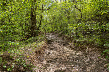 mountain river, spring day walks along the riverbed of a water barrier overlooking the river bottom