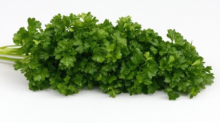 Fototapeta premium Fresh Vibrant Parsley Bunch Close-Up