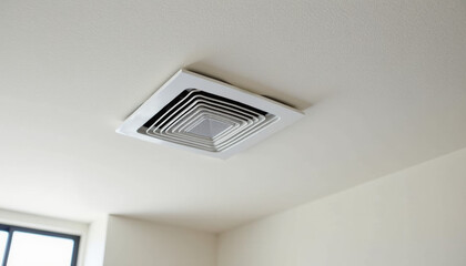 Elegant Ceiling Ventilation System