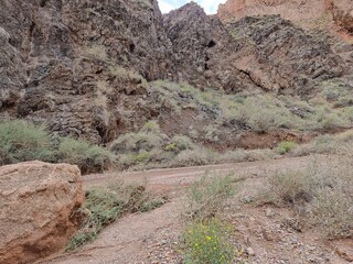 beautiful view of the mountains
