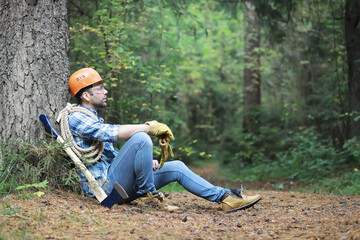 Male lumberjack in the forest. A professional woodcutter inspects trees for felling.