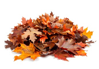 A Pile of Vibrant Autumn Leaves Isolated on a White Background