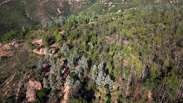 Top drone view of the Peak of the Massif of Esterel