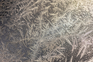 The frozen flowers on the window