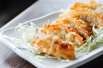 chinese dumpling, dumpling or wonton or fried wonton or gyoza or Japanese fried dumpling
