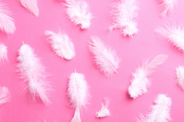 Many fluffy feathers on pink background, flat lay