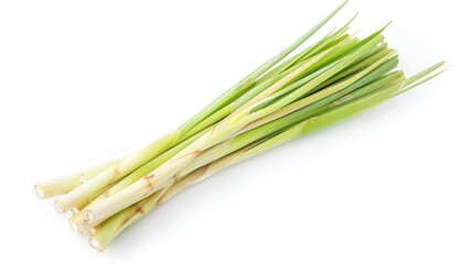 Fototapeta premium Fresh Lemongrass Stalks on White Background