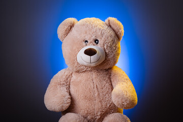 Portrait eines Teddy Kuscheltiers