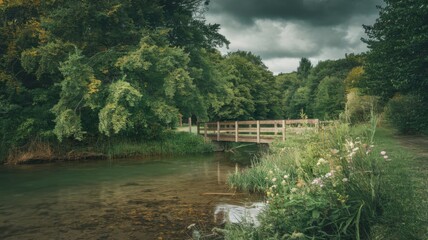 Fototapeta premium Serene forest path surrounded by lush green trees under soft sunlight. 