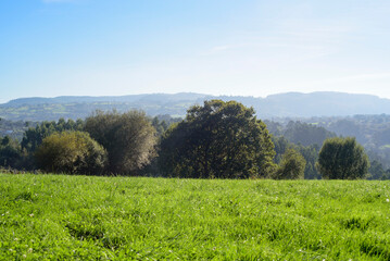 Obraz premium Ladera de hierba verde y monte en el horizonte