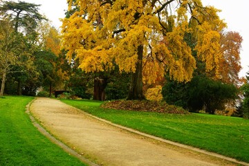 Perspective all&eacute;e parc