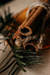 cinnamon sticks and spruce branches