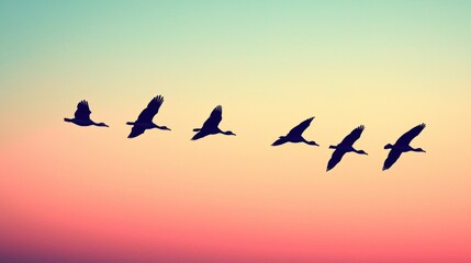 Fototapeta premium Silhouetted birds flying in formation against a vibrant sunset backdrop, creating a serene and picturesque scene.