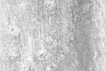 Gray wood texture or background and copy space