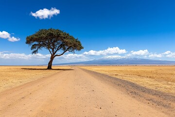 Fototapeta premium A panoramic view of Mount Kilimanjaro, with its snow-capped peak rising above the surrounding savannah
