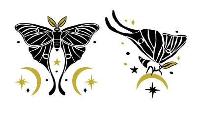 Luna moths set with moons and stars hand drawn black silhouette isolated on white background. Celestial butterfly design