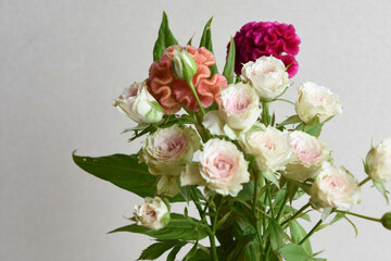 ケイトウとばら