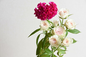 ケイトウとばら