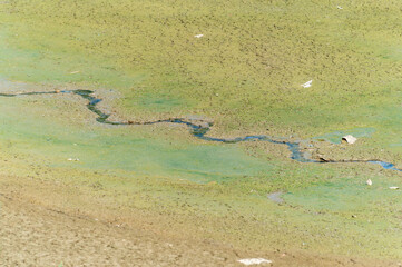 Thin winding stream flows along bed of dry river