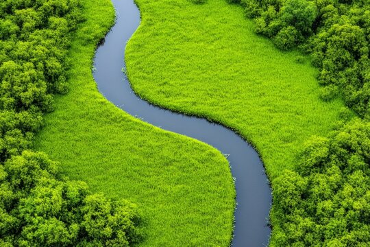 A serene aerial view of the Okavango Delta, with intricate waterways winding through lush greenery