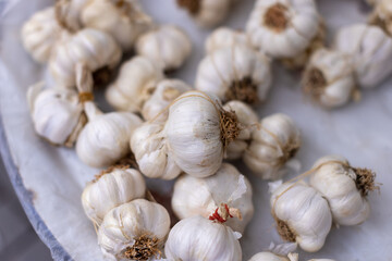Fresh Garlic Heads on Display at the Market