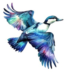 Obraz premium Watercolor Painting of a Colorful Duck in Flight, Isolated on White.