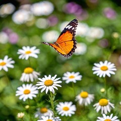 Fototapeta premium A full shot photo of a butterfly hovering above a patch of daisies, soft focus blending the background into a colorful bokeh, high angle shot capturing the full body of the butterfly in flight, wings 