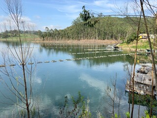 Criação de peixes na represa com fundo verde de arvores.