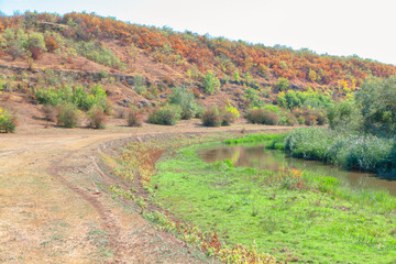 Landscape featuring a gently sloping hill covered with a mix of green and autumn-colored foliage....
