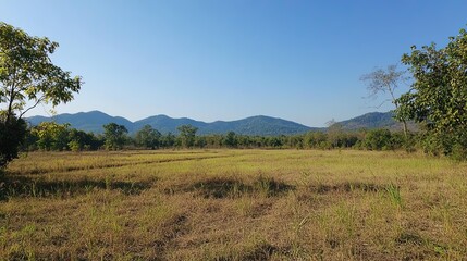 Savanna landscape. Thung Salaeng Luang area, Phetchabun province, Thailand. 