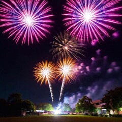 fireworks in the night sky