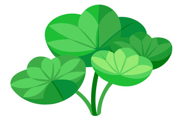 Centella Asiatica Leaves Green, Herbal, Medicinal, Asiatic Pennywort