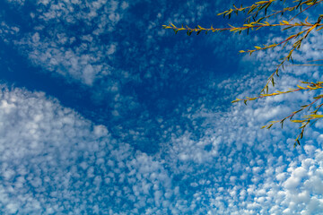blue background with snow