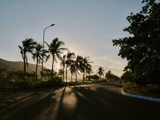 Empty road lined with palm trees towards the ocean at sunset, with a street lamp positioned in the center, casting shadows along the tranquil scene