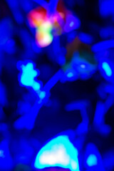 Blue Background with Blurred Effect - Soft Focus Photography