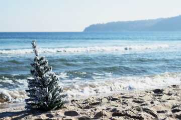 Christmas tree with snowy branches by the seaside, surrounded by calm waves
