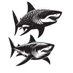 Obraz premium black silhouette shark illustration