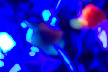 Blue Background with Blurred Effect - Soft Focus Photography