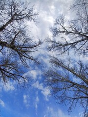 Obraz premium sky and clouds