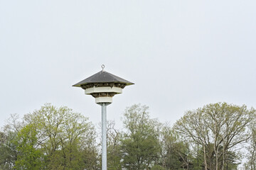 Til for common house martin birds on a pole above treetops. Turnhout, Flanders, Belgium 