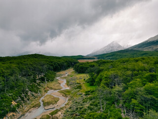 Fototapeta premium Mountains and Autumn Leaves in Ushuaia, Argentina
