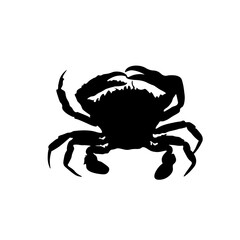 crab illustration