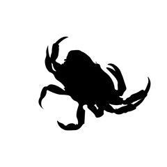 Crab 