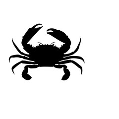 Crab 