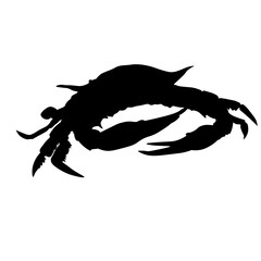 Crab 