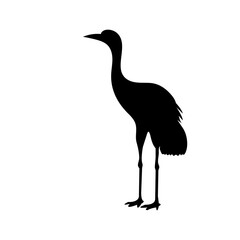Crane Bird