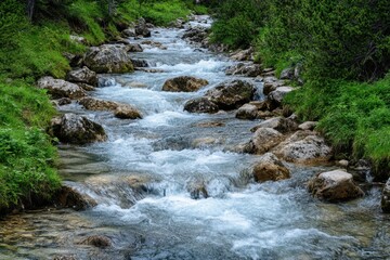 Fototapeta premium Flowing water creates a serene atmosphere in a lush, green landscape