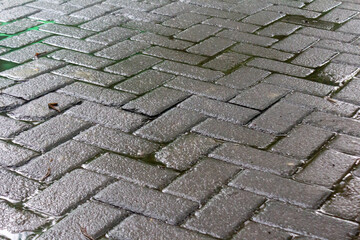 Rainwater Wetting the Surface of Parking Lot Paving