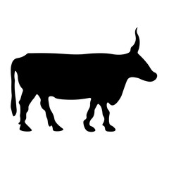 Cow Animal Illustration
