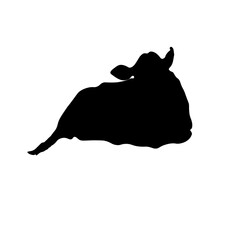 Cow Animal Illustration
